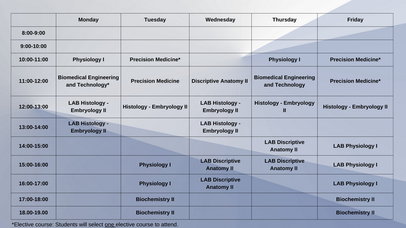 MEDICAL DEGREE English program - Timetable 2023-2024